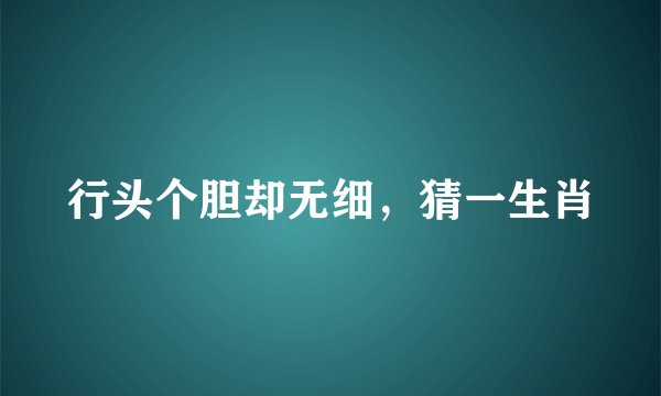行头个胆却无细，猜一生肖