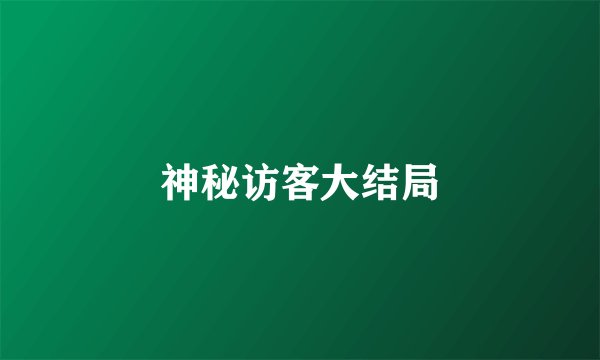 神秘访客大结局