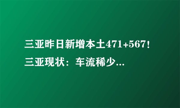 三亚昨日新增本土471+567！三亚现状：车流稀少街上白马奔跑！