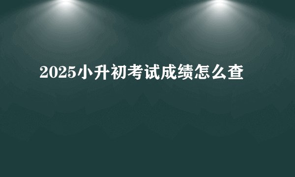 2025小升初考试成绩怎么查