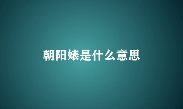 朝阳婊是什么意思