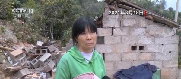 象群走出昆明密林在田间踩踏 这是咋情况？