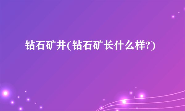 钻石矿井(钻石矿长什么样?)