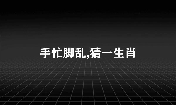 手忙脚乱,猜一生肖