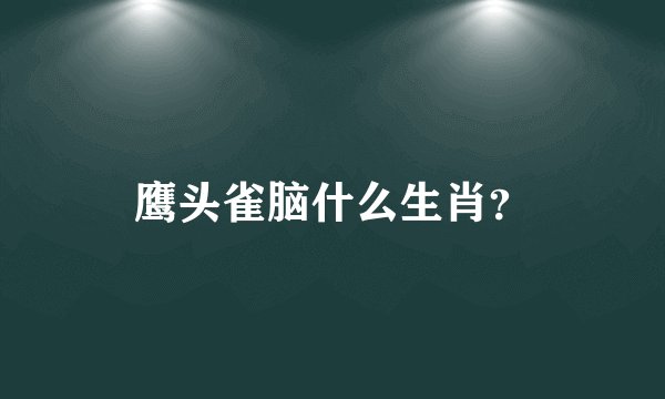 鹰头雀脑什么生肖？