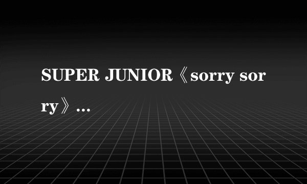 SUPER JUNIOR《sorry sorry》的中文歌词，麻烦各位。。。
