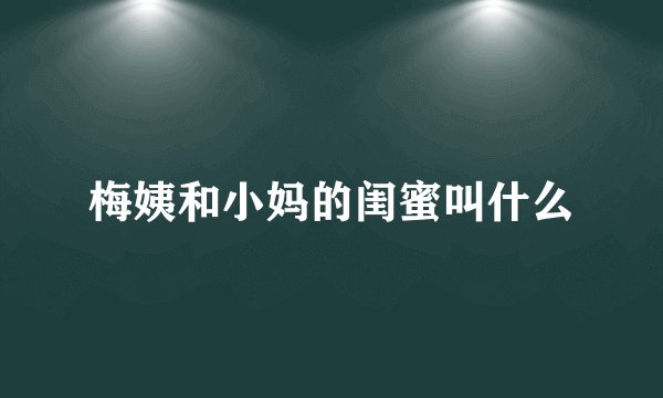梅姨和小妈的闺蜜叫什么