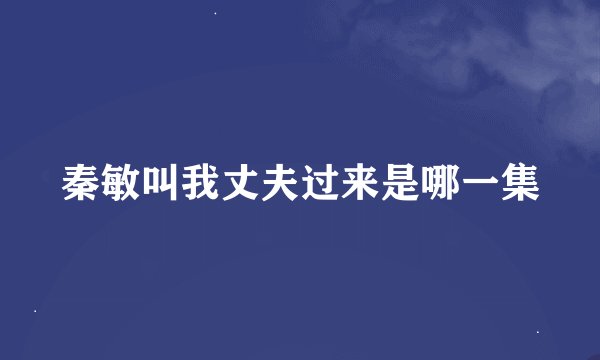 秦敏叫我丈夫过来是哪一集
