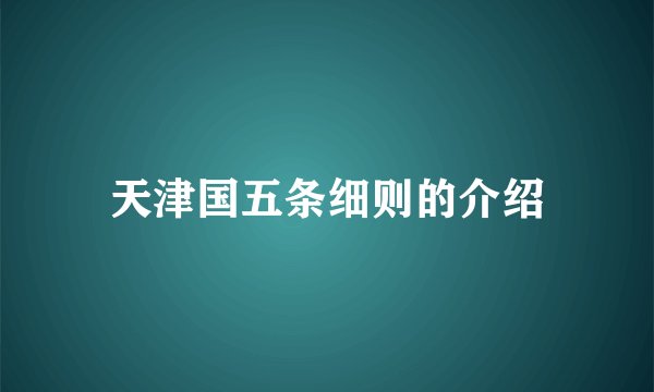 天津国五条细则的介绍