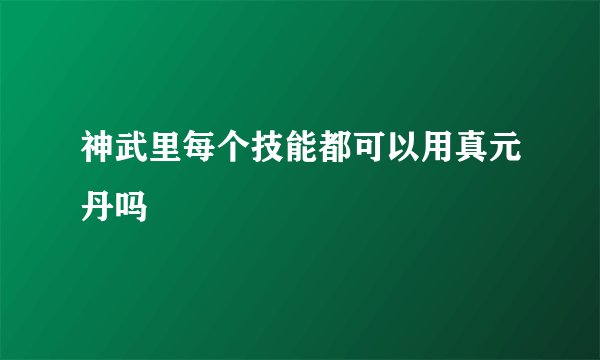 神武里每个技能都可以用真元丹吗