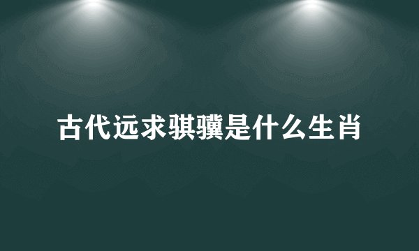 古代远求骐骥是什么生肖