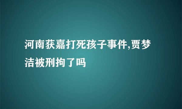 河南获嘉打死孩子事件,贾梦洁被刑拘了吗