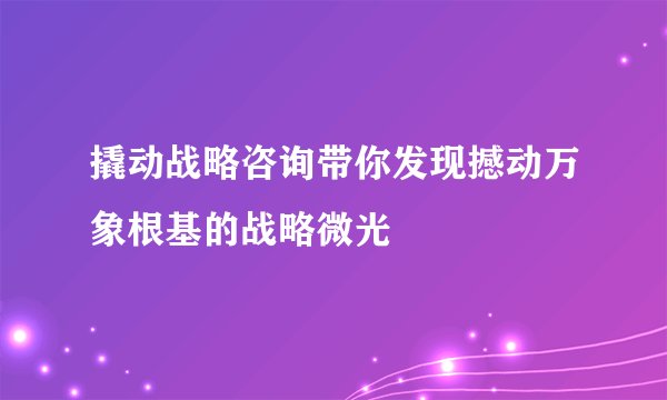 撬动战略咨询带你发现撼动万象根基的战略微光