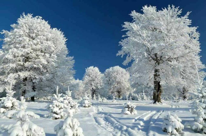 如何给南方人寄雪？