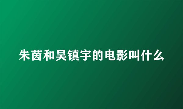 朱茵和吴镇宇的电影叫什么