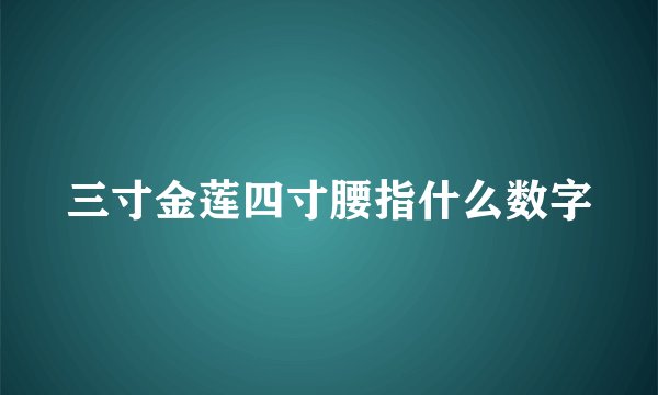 三寸金莲四寸腰指什么数字