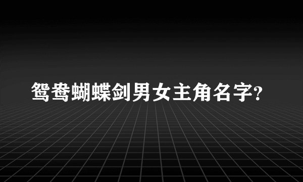 鸳鸯蝴蝶剑男女主角名字？