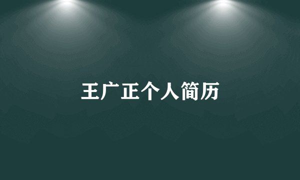 王广正个人简历