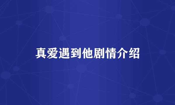 真爱遇到他剧情介绍