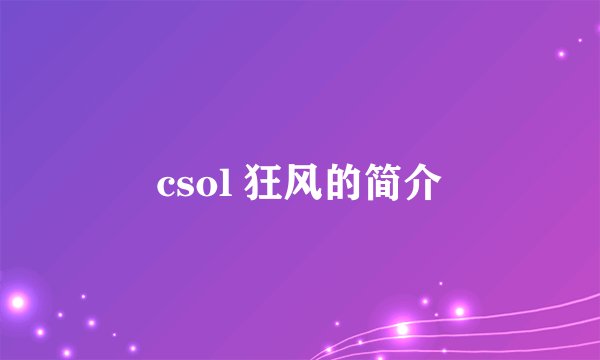 csol 狂风的简介