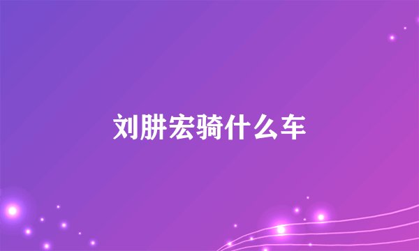 刘肼宏骑什么车