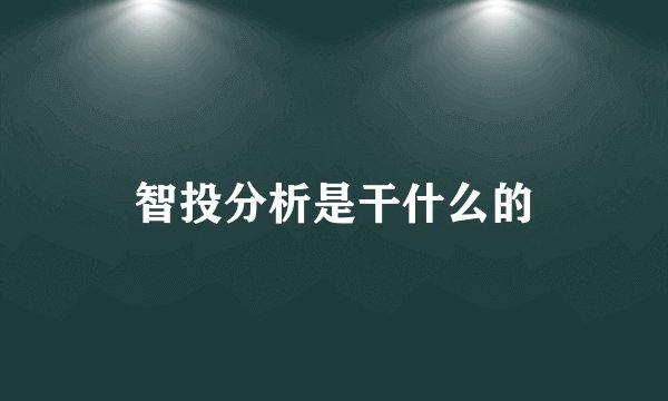 智投分析是干什么的