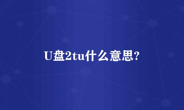 U盘2tu什么意思?
