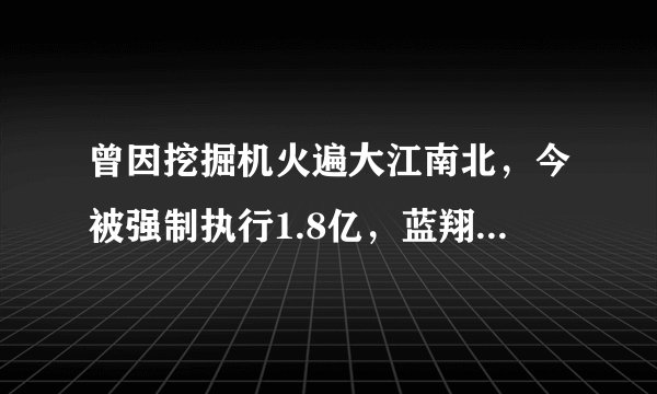 曾因挖掘机火遍大江南北，今被强制执行1.8亿，蓝翔到底怎么了