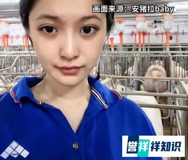 24岁高颜值女孩回应大学毕业养猪：学的兽医专业，每天6点起床，年薪10万