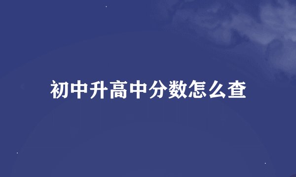 初中升高中分数怎么查