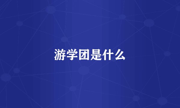 游学团是什么