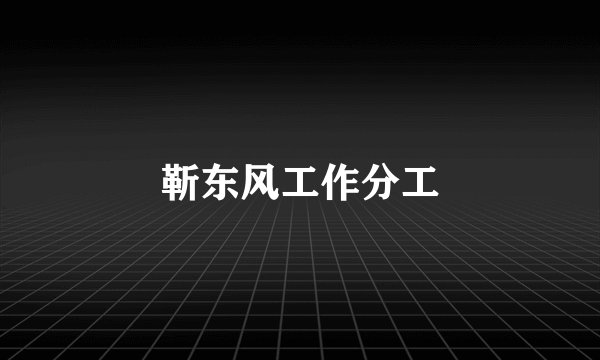 靳东风工作分工