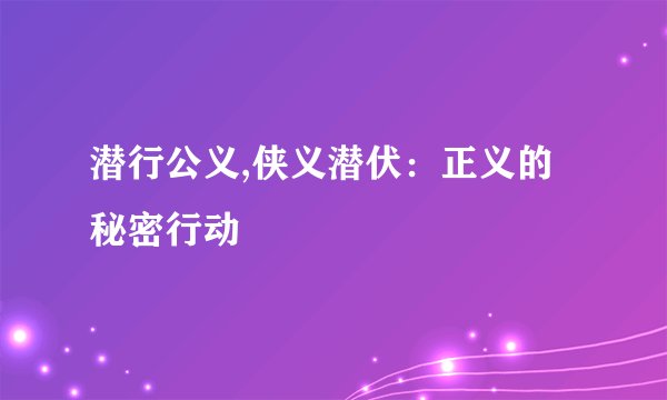 潜行公义,侠义潜伏：正义的秘密行动