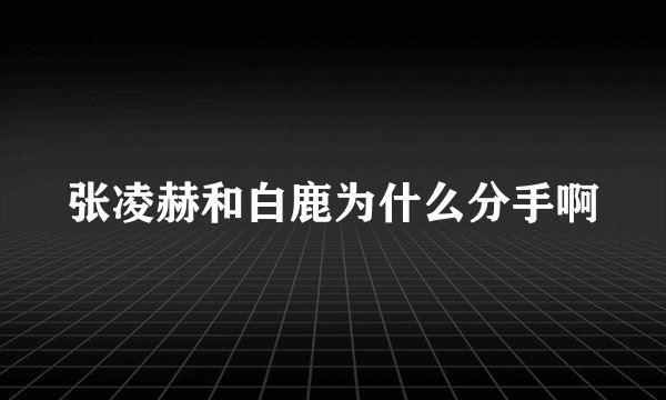 张凌赫和白鹿为什么分手啊