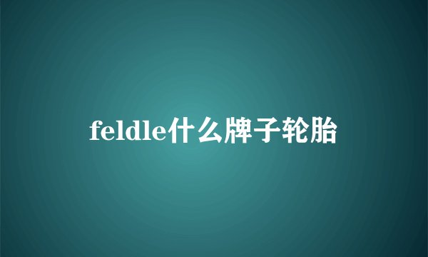 feldle什么牌子轮胎