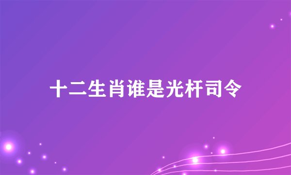 十二生肖谁是光杆司令