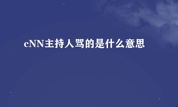cNN主持人骂的是什么意思