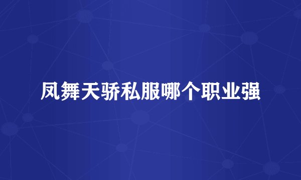 凤舞天骄私服哪个职业强