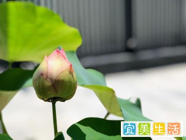 出书，香港书号多少钱？香港书号出版的书可以售卖吗？