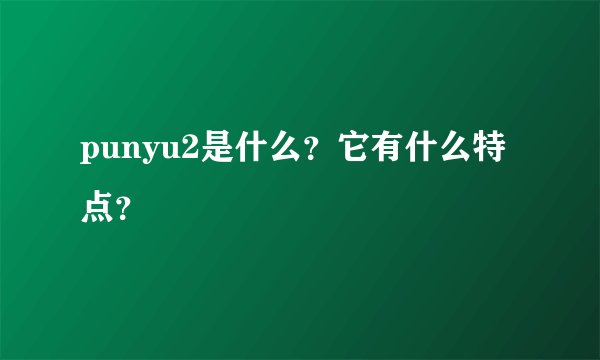 punyu2是什么？它有什么特点？
