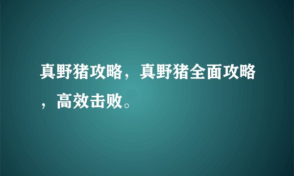 真野猪攻略，真野猪全面攻略，高效击败。