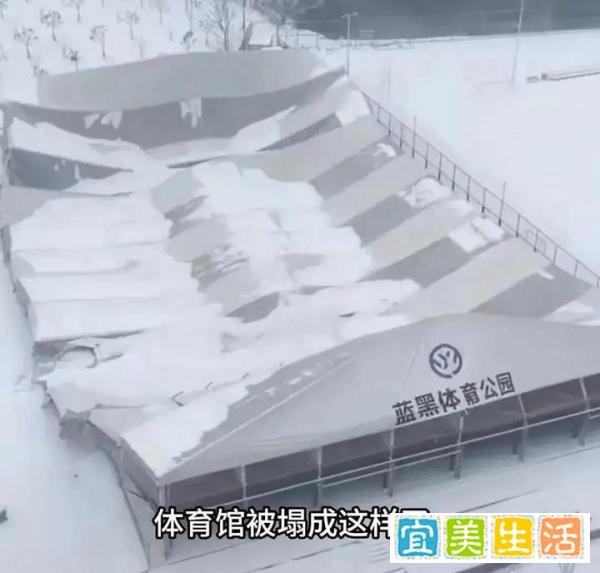 雪又背锅！河南信阳“体育馆”被积雪压塌：豆腐渣工程应彻查！