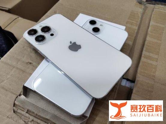 苹果iPhone13系列机模曝光：后置镜头拥有全新布局