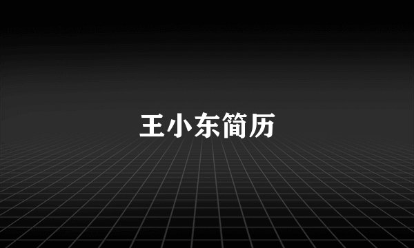 王小东简历