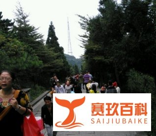 广州到衡山旅游攻略