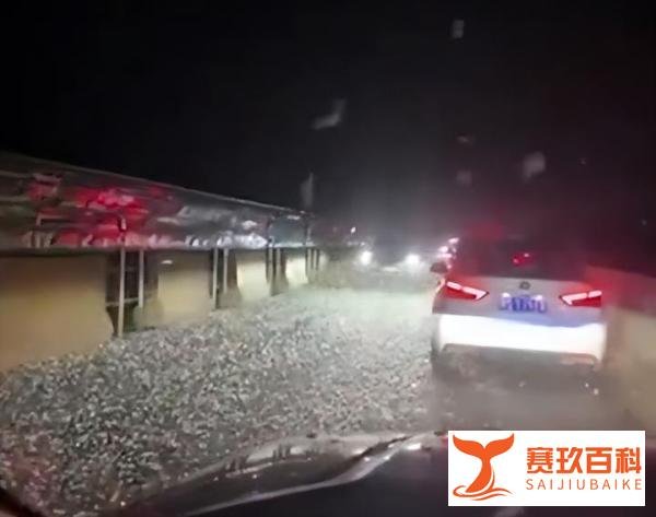 河南信阳一大桥夜晚出现不明飞虫引起公众猜测和热议