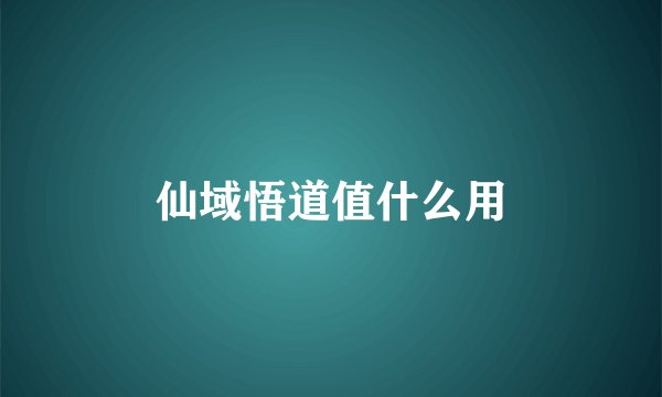 仙域悟道值什么用