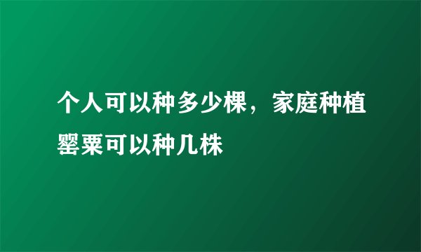个人可以种多少棵，家庭种植罂粟可以种几株