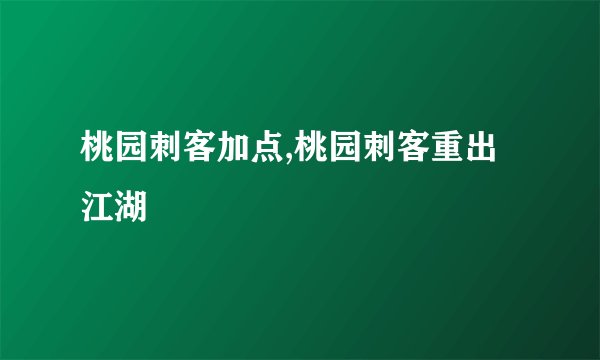 桃园刺客加点,桃园刺客重出江湖
