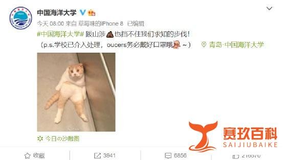 有味道：中国海洋大学化粪池“炸了”？ 来看没味道的3D打印公厕